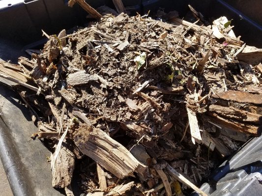timberwolf tree service middleboro ma timberwolf tree service 94 disbrow hill rd hightstown nj services mapquest timberwolf tree service middleboro ma timberwolf tree service 94 disbrow hill rd hightstown nj services mapquest