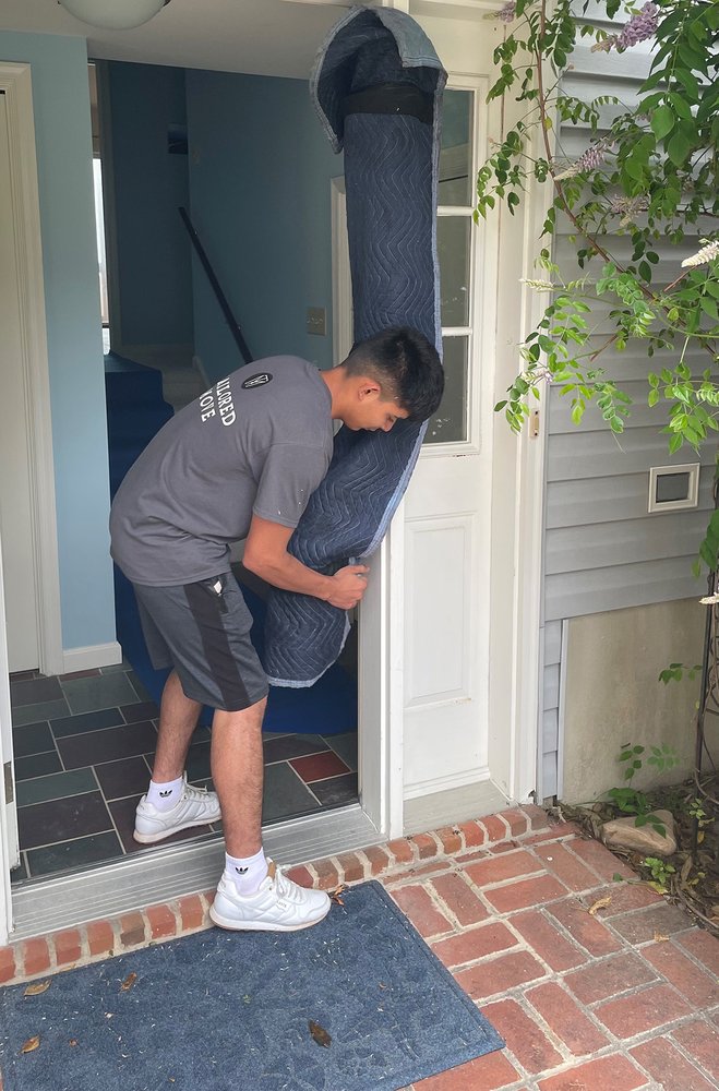 Tailored Move - Joe Moholland Government Division