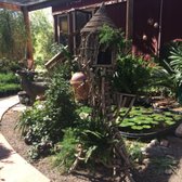 Whitfill Nursery 26 Photos 39 Reviews Nurseries Gardening Photo Of Whitfill Nursery Gilbert Az United States They Have It Set