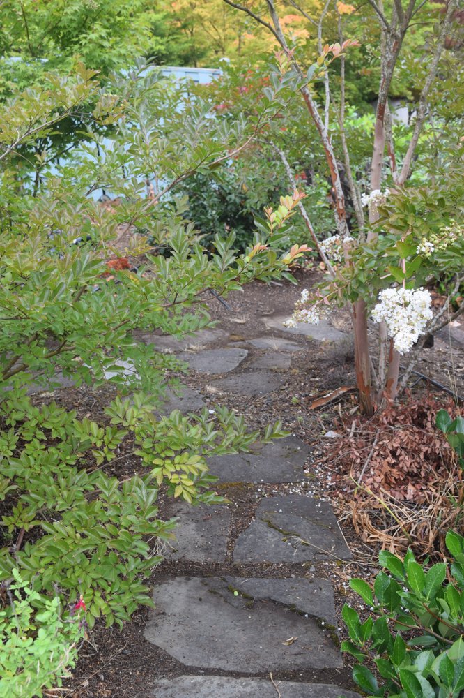 J P Stone Contractors