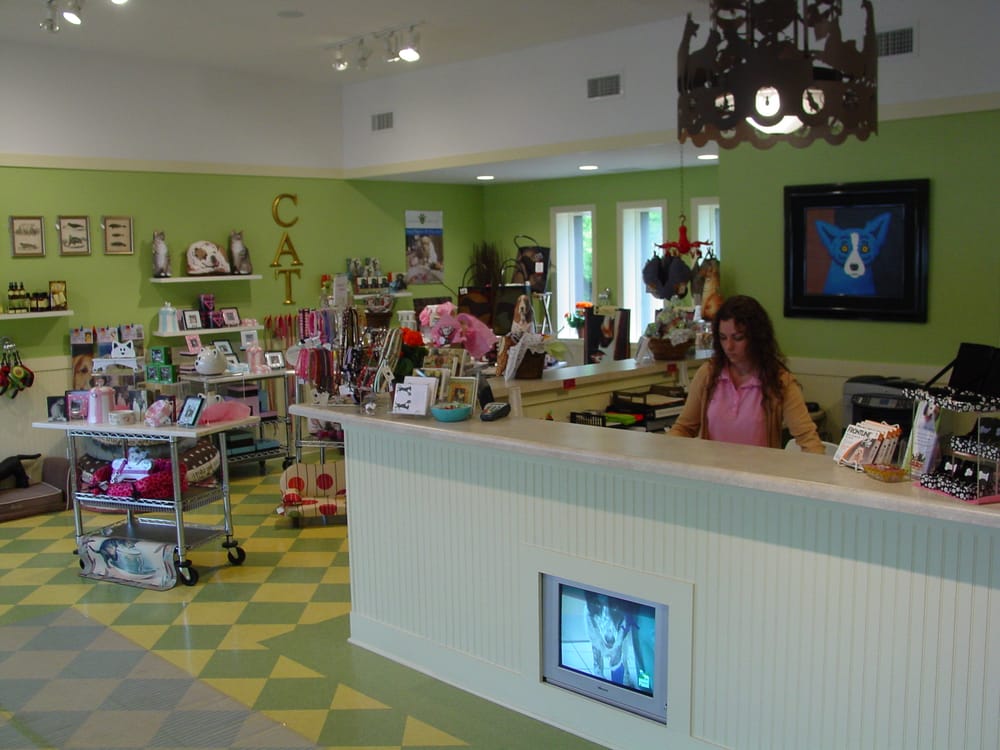 The Ark Pet Spa & Hotel 18 Photos & 12 Reviews Pet Sitting 1100