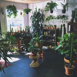 The Fox Den Closed Nurseries Gardening 1105 Chicon St East Photo Of The Fox Den Austin Tx United States