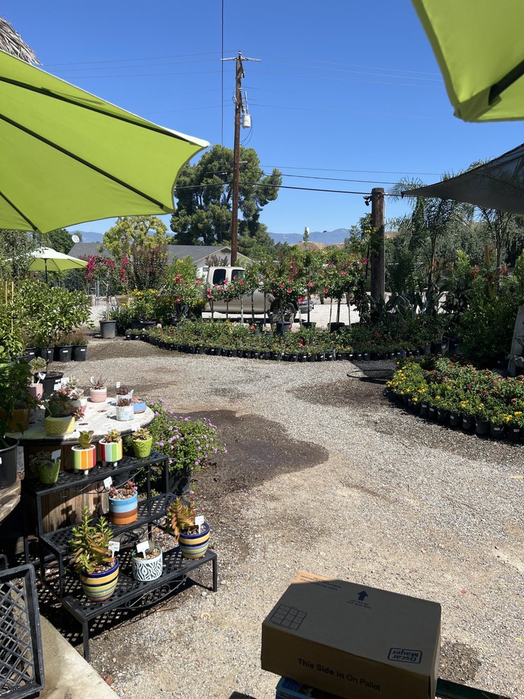 Serrano Nursery