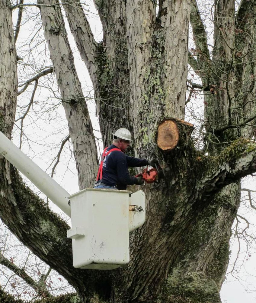 Ron Raby Tree Service