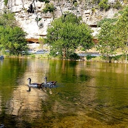 New Braunfels Camping >> Camp Huaco Springs 15 Photos 46 Reviews Campgrounds 4150 New Braunfels Camping >> Camp Huaco Springs 15 Photos 46 Reviews Campgrounds 4150
