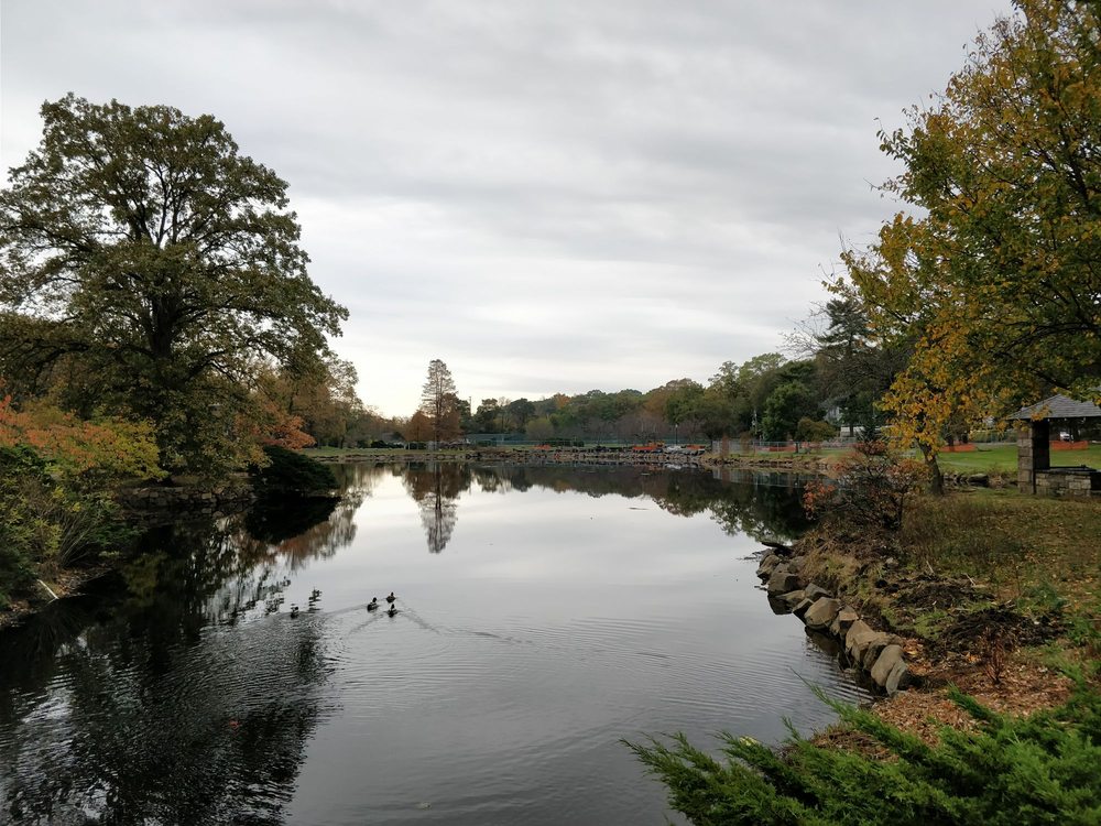Binney Park
