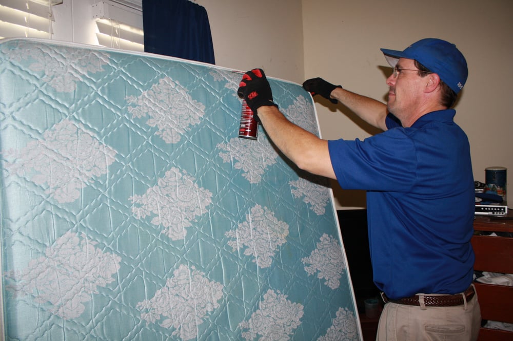 Capital Pest Services