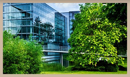 Aadams Tree & Landscape Experts