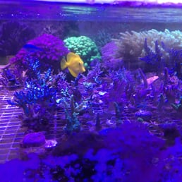 tidal zone maintenance request