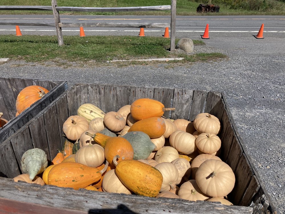 Indian Ladder Farms Cidery & Brewery