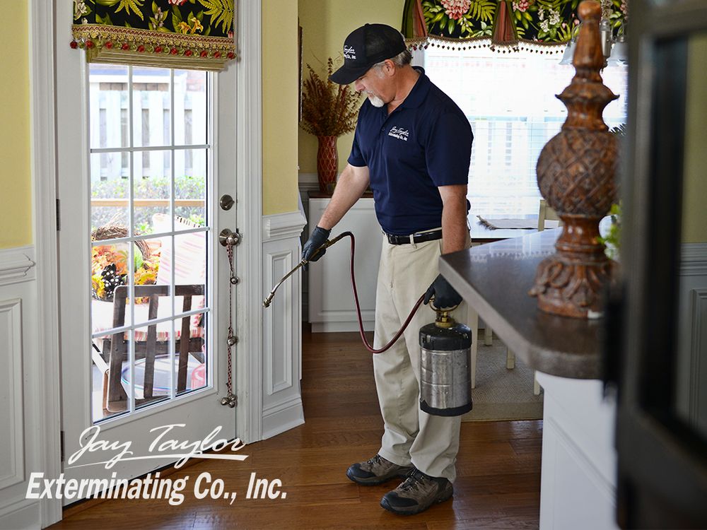Jay Taylor Exterminating