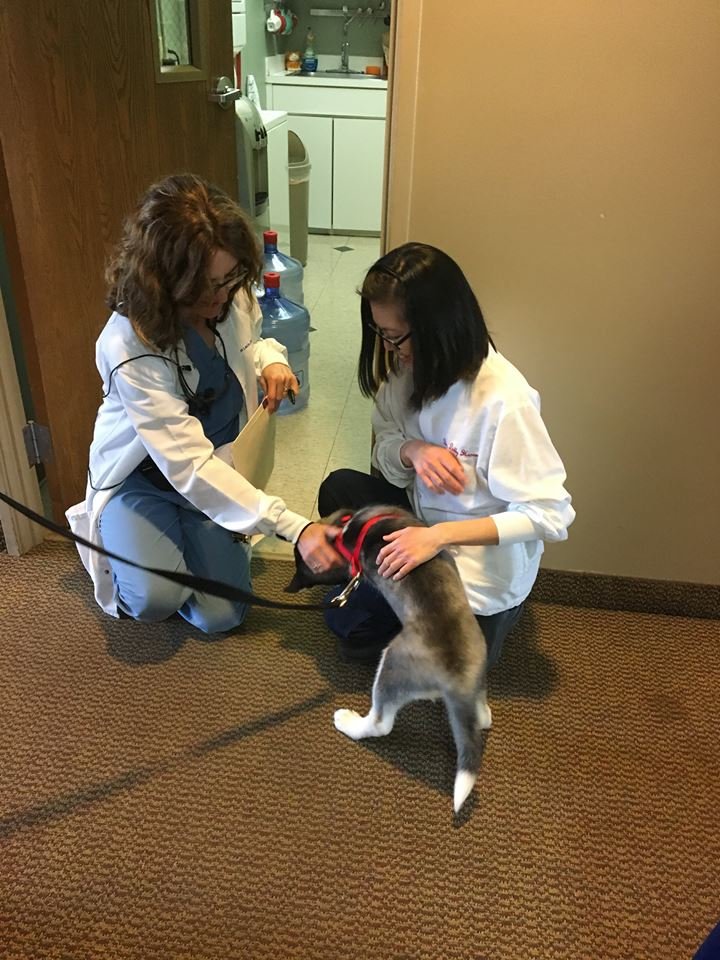 image of business Gentle Dental Associates