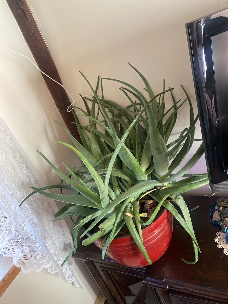 image of business R & S Services