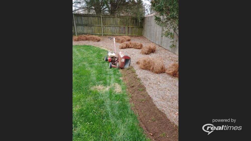 Cole's Lawn Maintenance