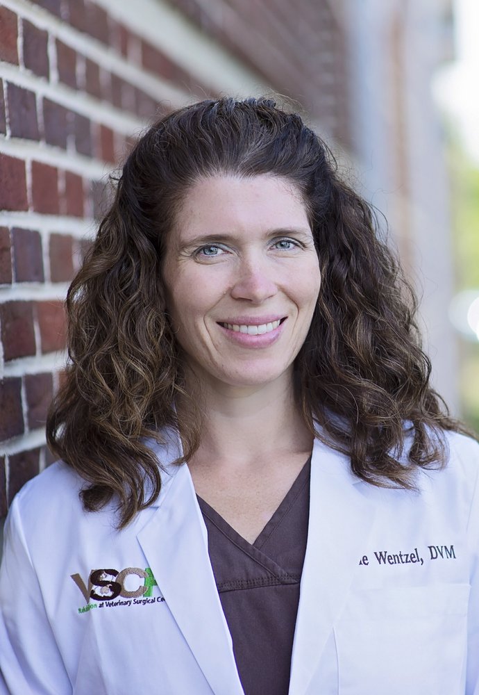 Veterinary Surgical Centers