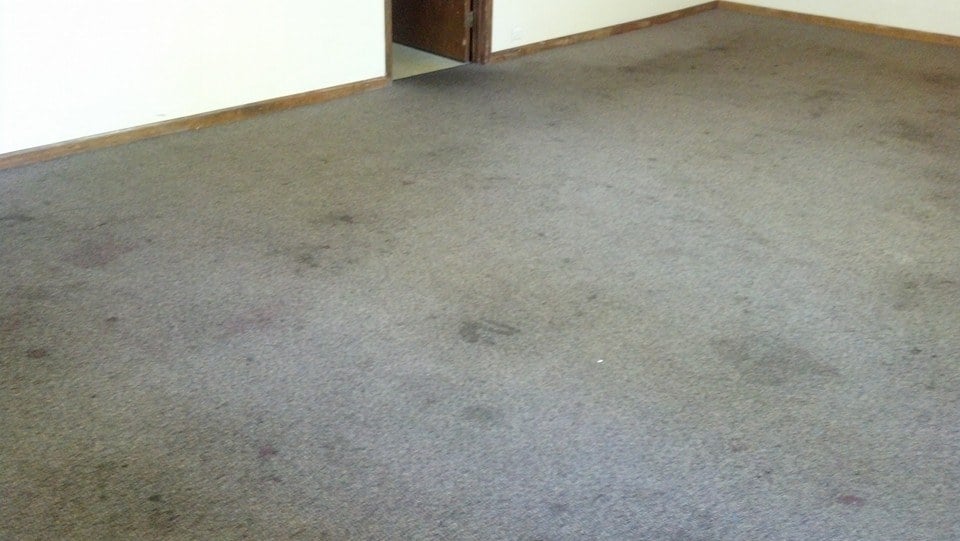 Larry Boerema’s Carpet & Upholstery Cleaning Carpet Cleaning Joliet