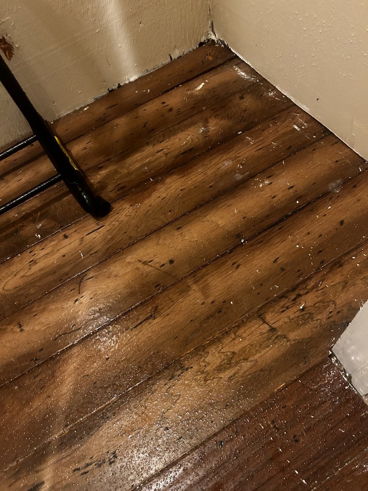 Bold Property Management