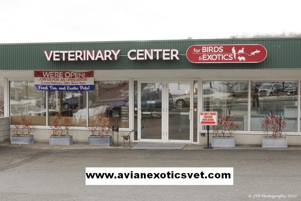 Veterinary Center for Birds & Exotics 32 Photos & 20 Reviews