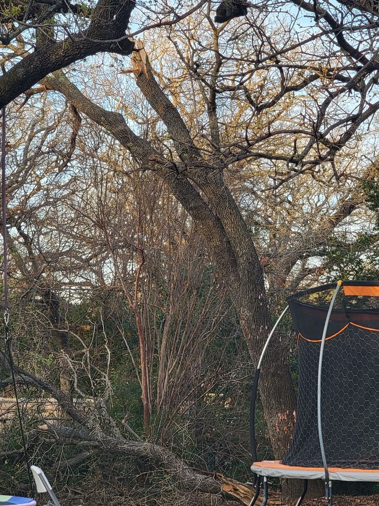 A-1 Lawn & Tree Service
