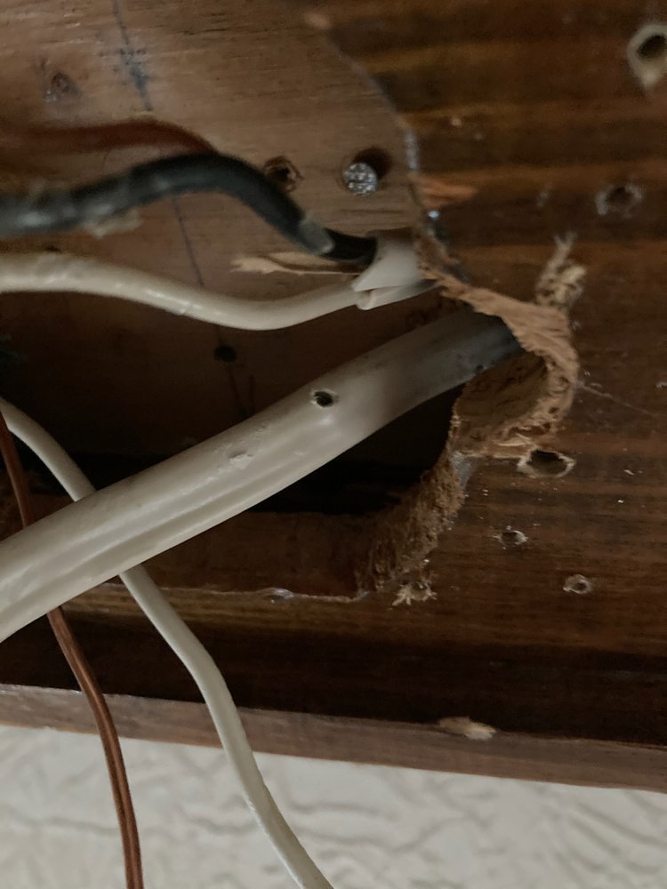 image of business Billy Beard Electric