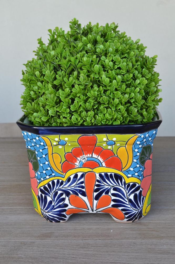 Blue Rooster Home & Garden