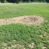 leawood dog park leawood dog park