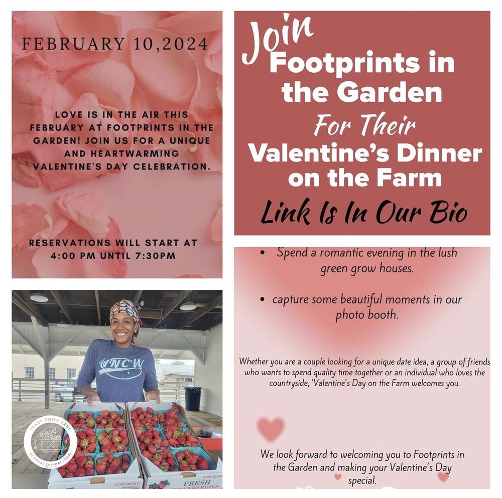 Foot Prints In The Garden