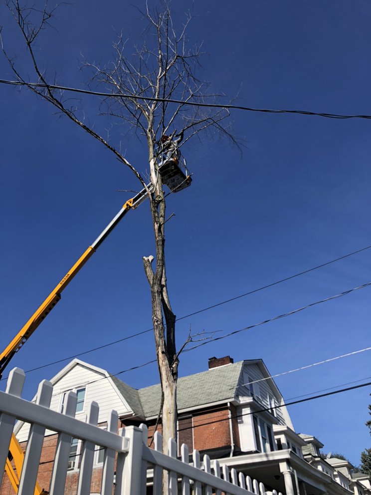 Crumling Outdoor Services