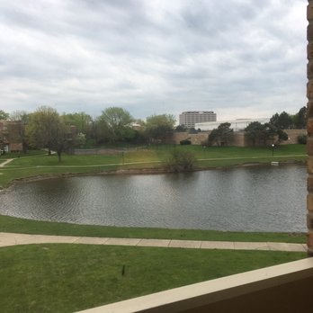 photo of wyndham garden schaumburg chicago northwest schaumburg il united states the - Wyndham Garden Schaumburg Chicago Northwest photo of wyndham garden schaumburg chicago northwest schaumburg il united states the - Wyndham Garden Schaumburg Chicago Northwest