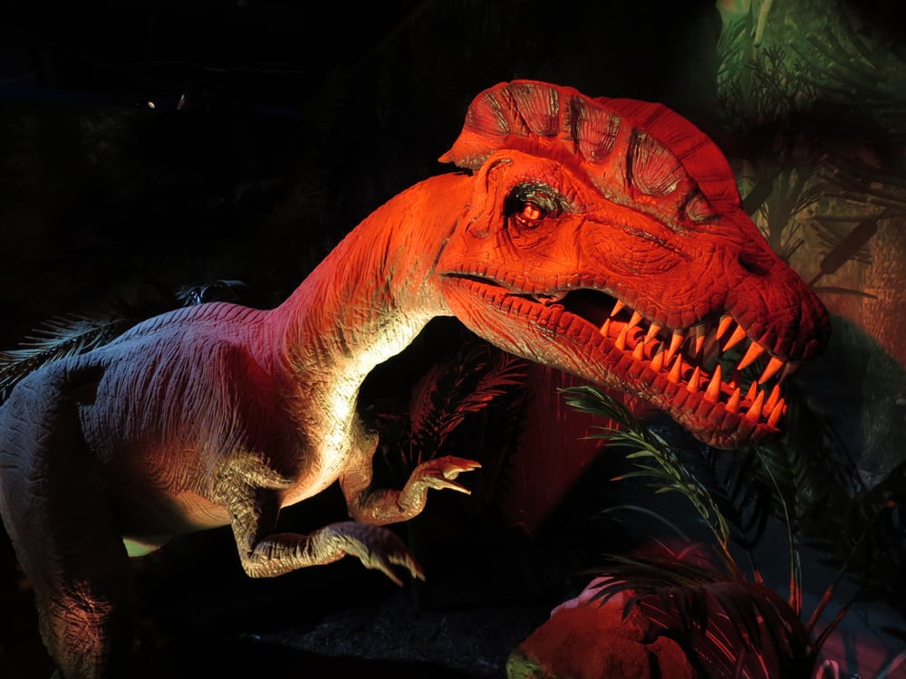 Bodies The Exhibition 56 Photos Museums 265 18th St, Atlantic