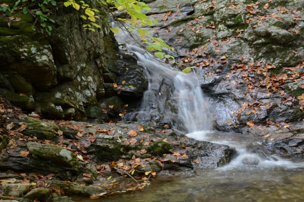 Patapsco Valley State Park