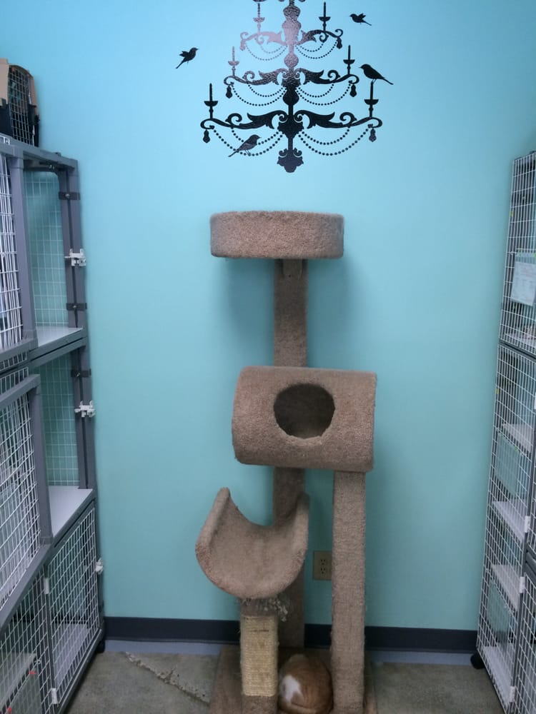 The Ark Pet Spa & Hotel Pet Boarding/Pet Sitting 7760 E Brainerd Rd