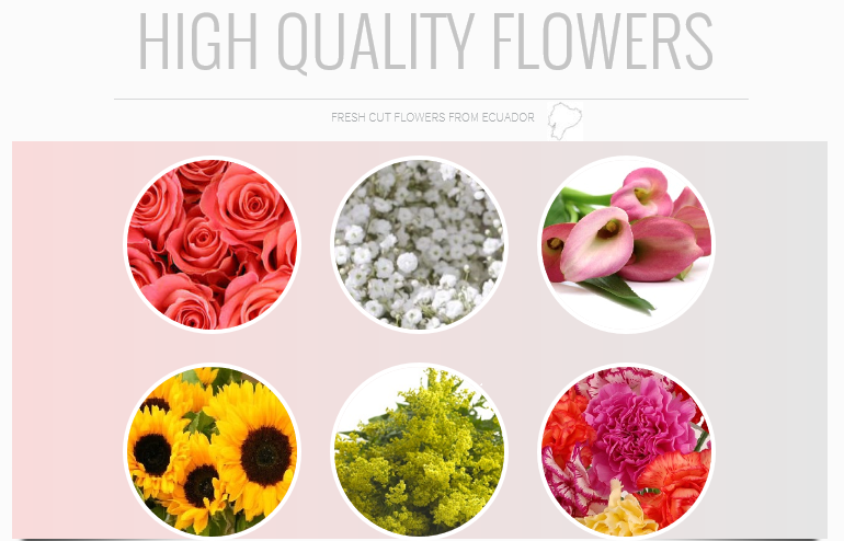 All You Need is Flowers