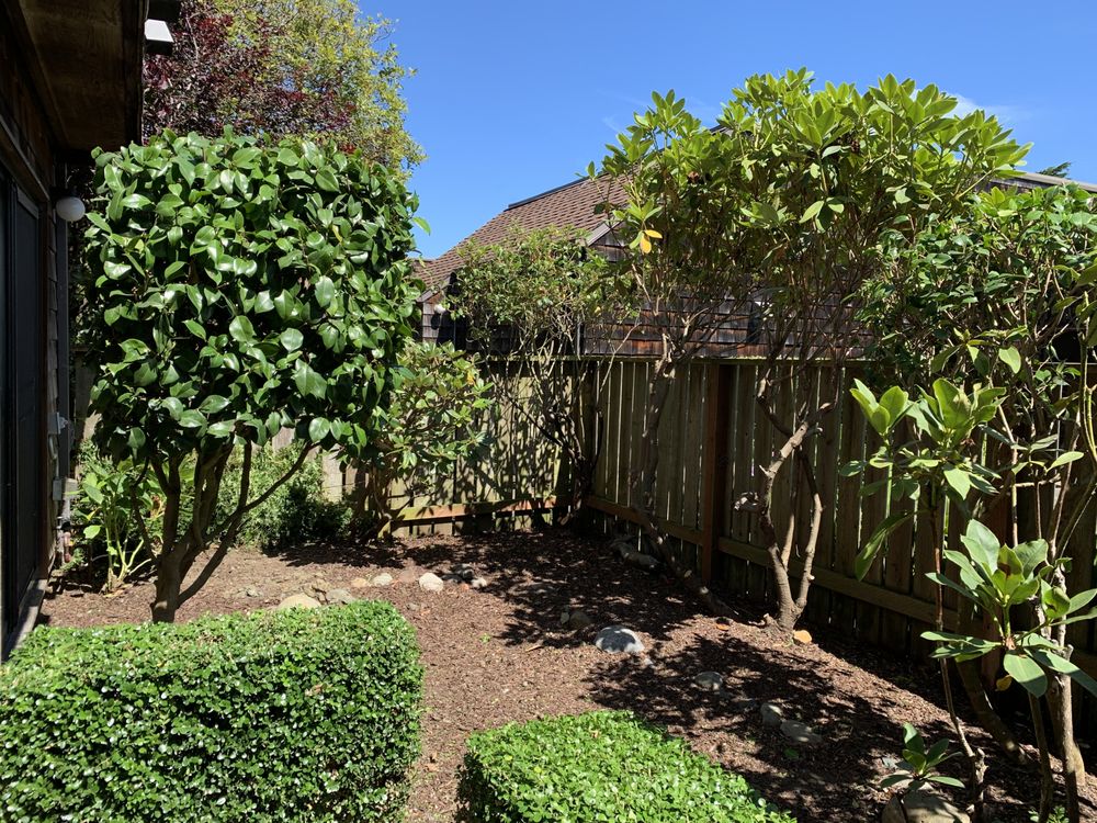 Nguyen's-Giup Gardening Services