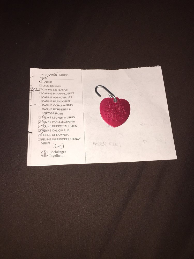 Austin Avenue Animal Hospital 31 Reviews Veterinarians 2201 S