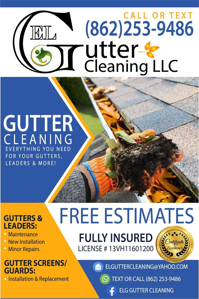ELG Gutter Cleaning