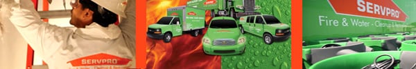 SERVPRO of Kingston/New Paltz