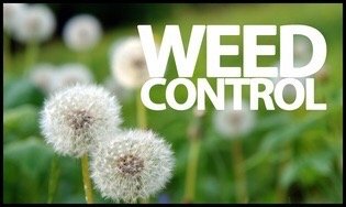 Spokane Spray Service