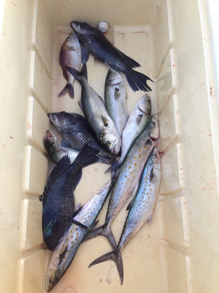 Fisher of Men Charters Get Quote Boat Charters 4495 Baker St