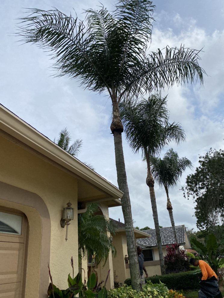 Mendez Lawn and Irrigation