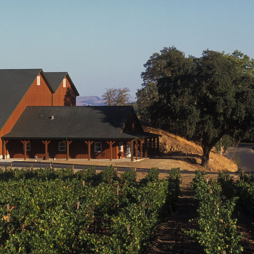 Napa Vineyard to Vineyard Yelp