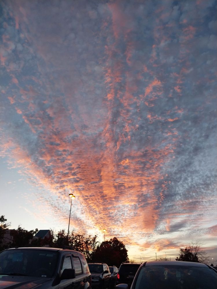 Shane's Eatery Shane's Eatery