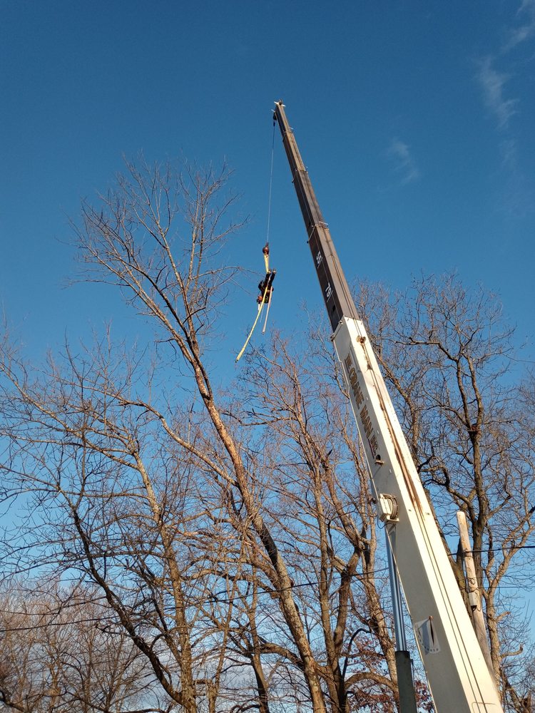 Able Brothers Tree And Plant Health Care