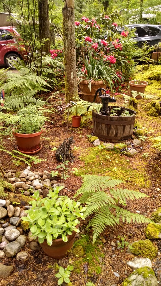 Gold Bar Nature Trails Campgrounds 16411 May Creek Rd, Gold Bar, WA