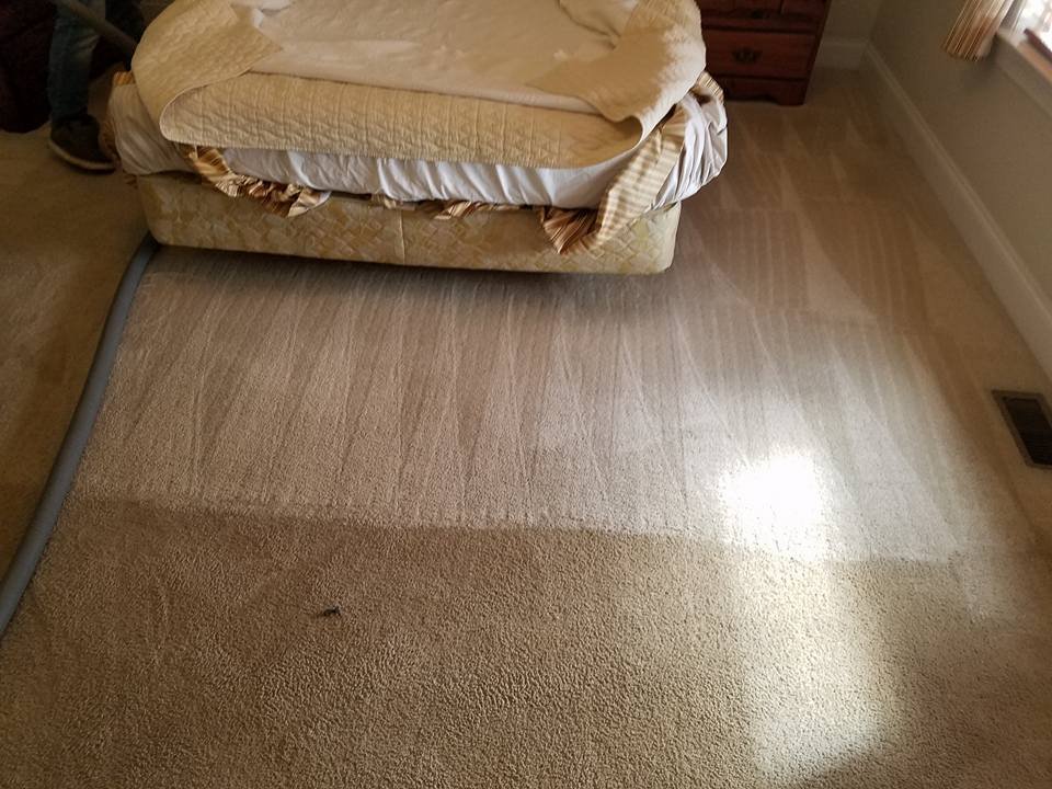 Costantino's Carpet and Upholstery Cleaning
