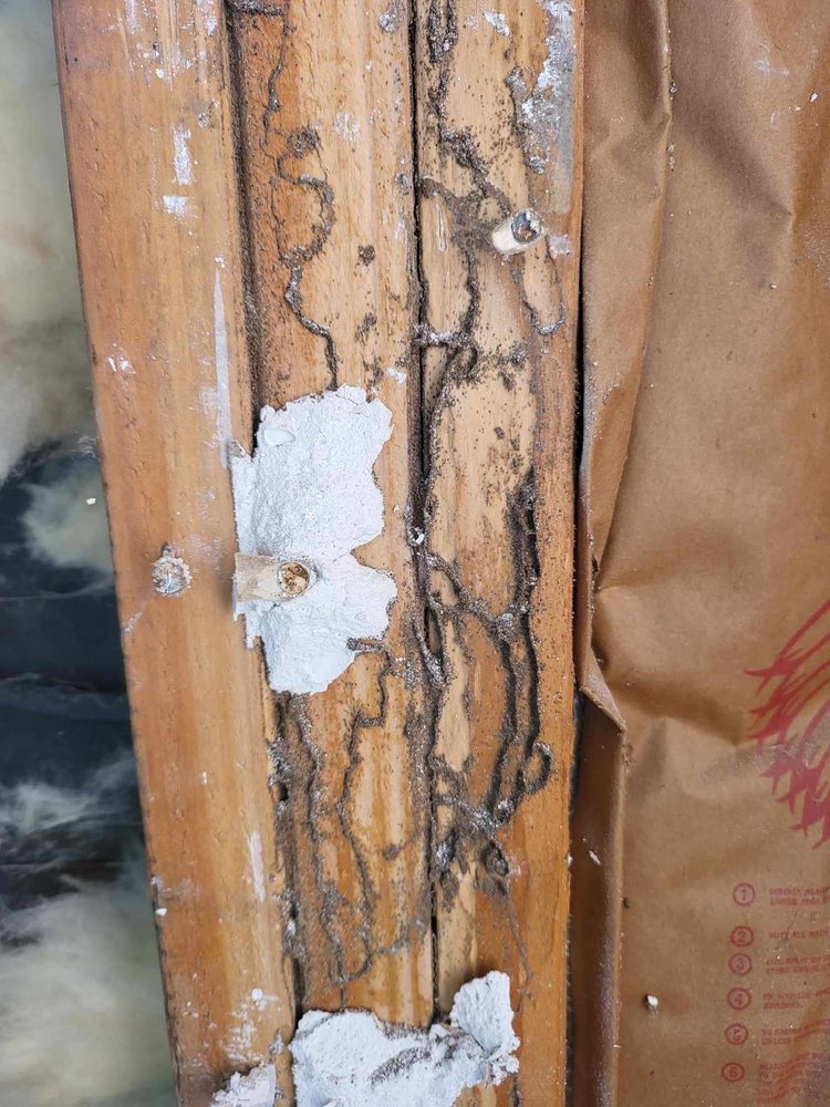 Woodland-Davis Termite & Pest Control
