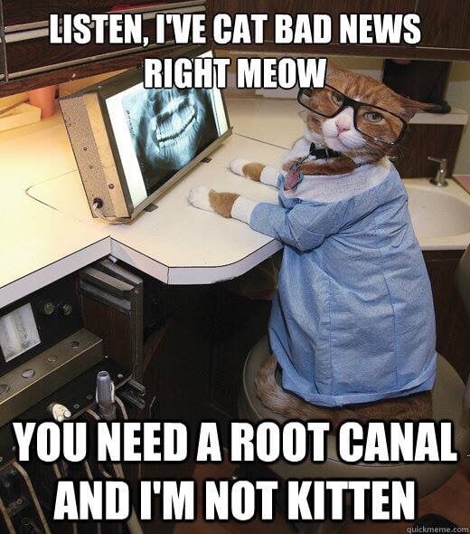 image of business Piermont Dental Care of Nyack