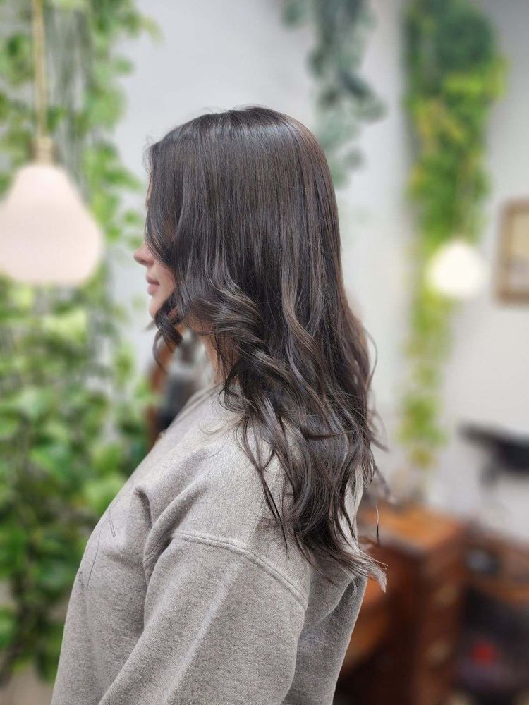 Fringe + Fern Collective