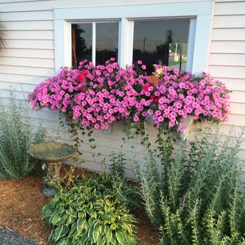 Lola’s Flower Garden 13 Photos Florists 422 E Main St, Carson