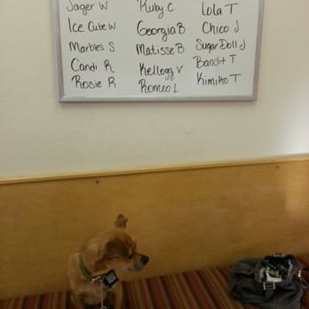 vca winchester animal hospital